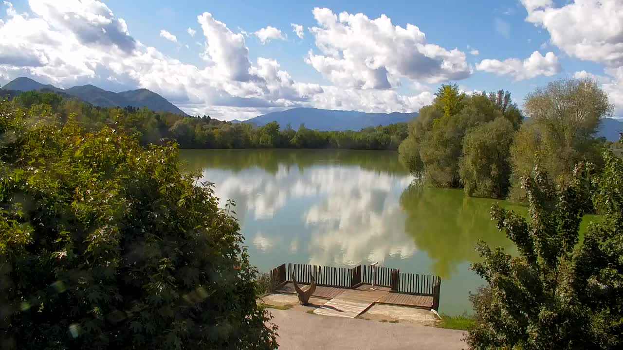 Webcam Ribnik Vrbje – Žalec
