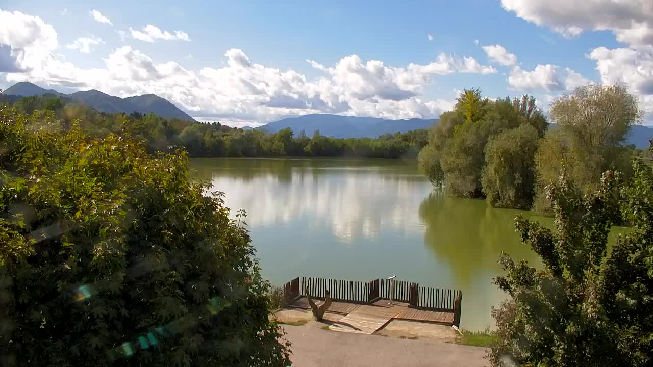 Web kamera Ribnik Vrbje – Žalec