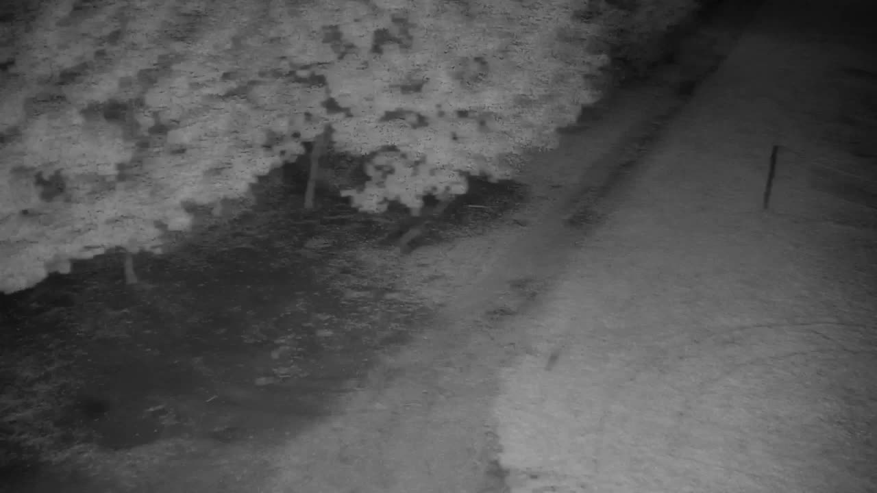 Webcam Ribnik Vrbje – Žalec