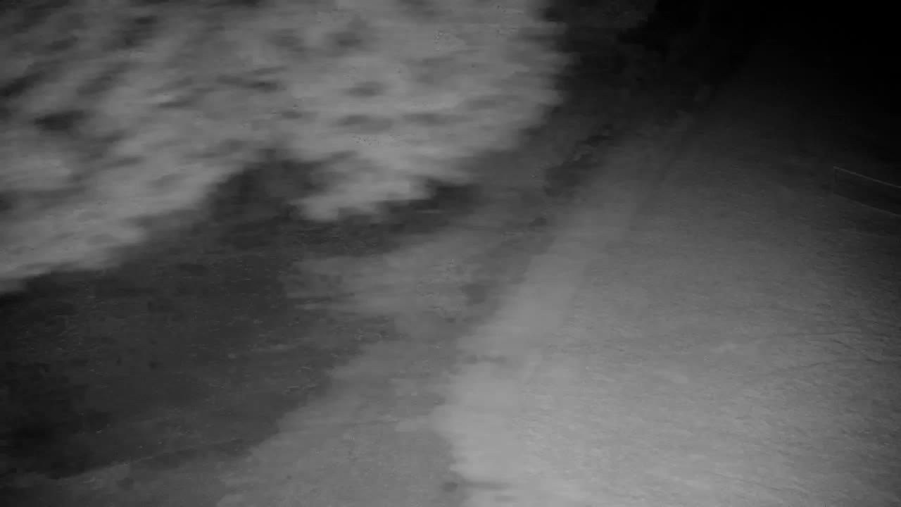 Webcam Ribnik Vrbje – Žalec