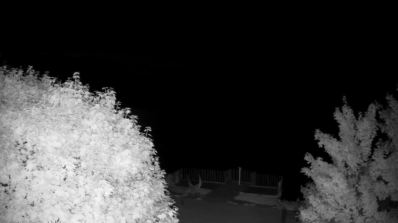 Webcam Ribnik Vrbje – Žalec