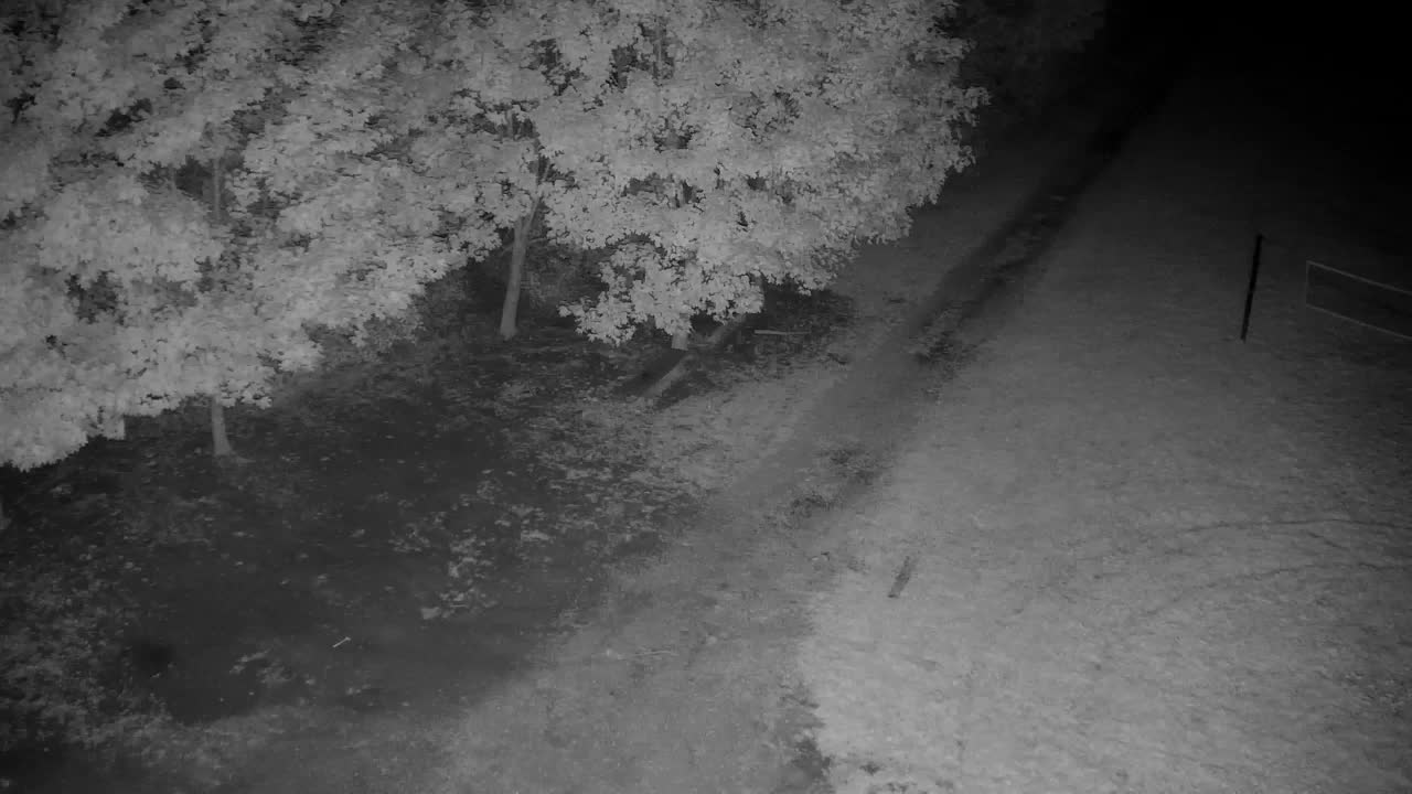Webcam Ribnik Vrbje – Žalec