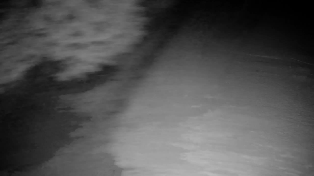 Webcam Ribnik Vrbje – Žalec