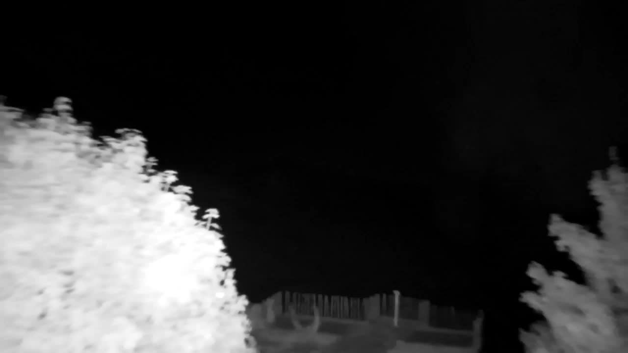 Webcam Ribnik Vrbje – Žalec