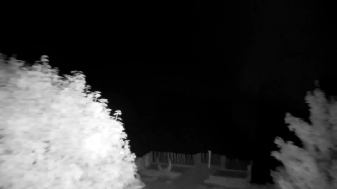 Webcam Ribnik Vrbje – Žalec