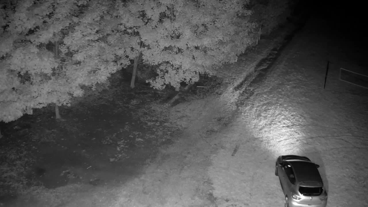 Webcam Ribnik Vrbje – Žalec