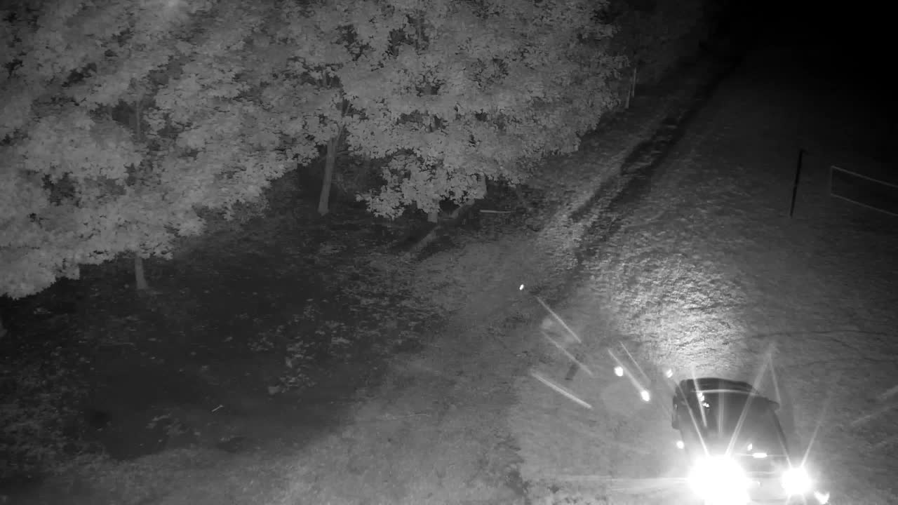 Spletna kamera Ribnik Vrbje – Žalec