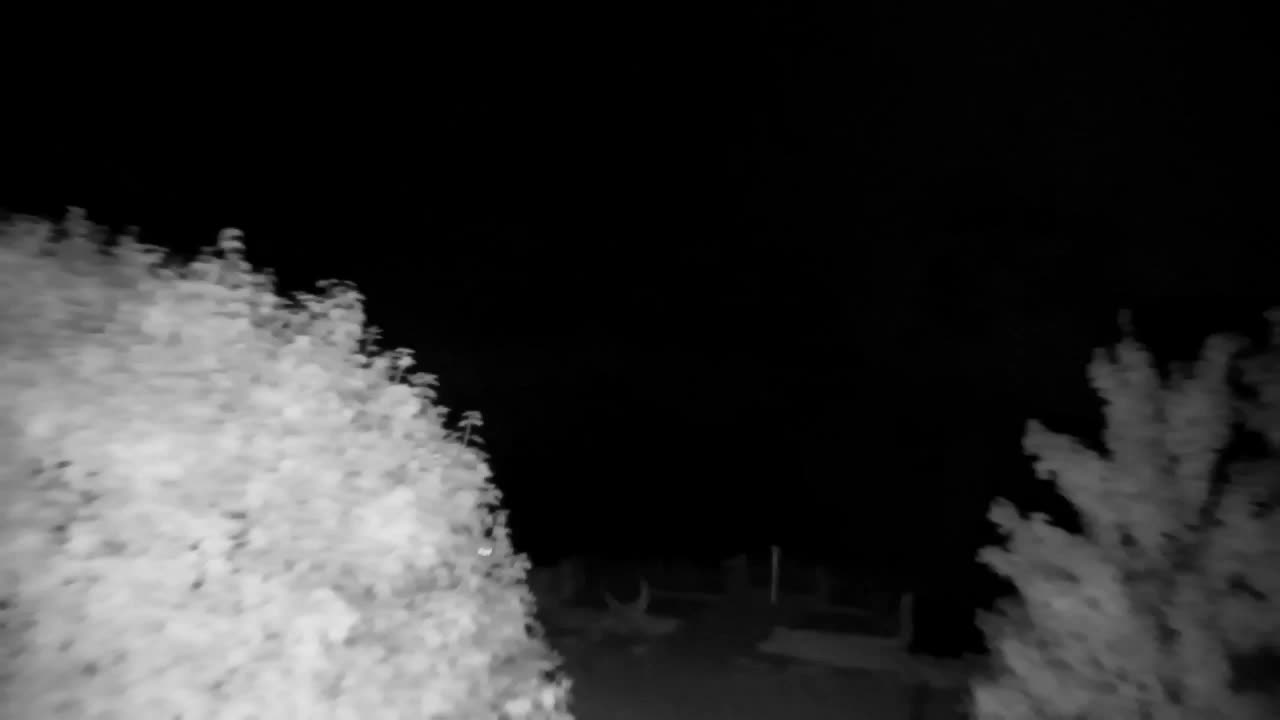 Spletna kamera Ribnik Vrbje – Žalec