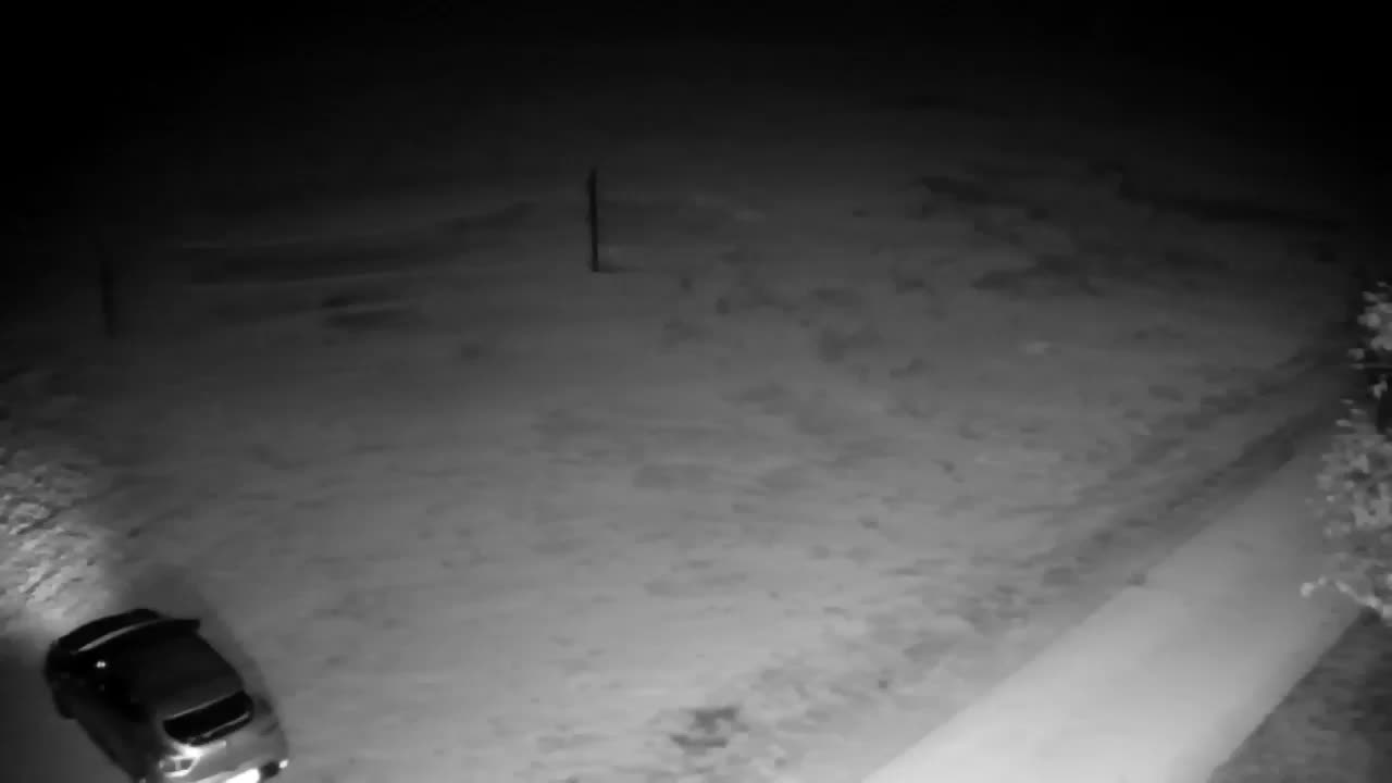 Webcam Ribnik Vrbje – Žalec