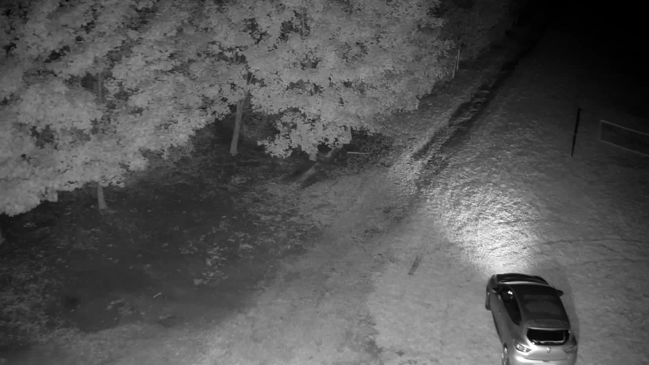 Webcam Ribnik Vrbje – Žalec