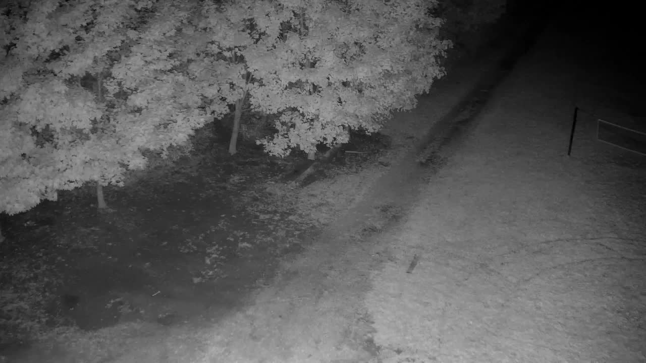 Webcam Ribnik Vrbje – Žalec