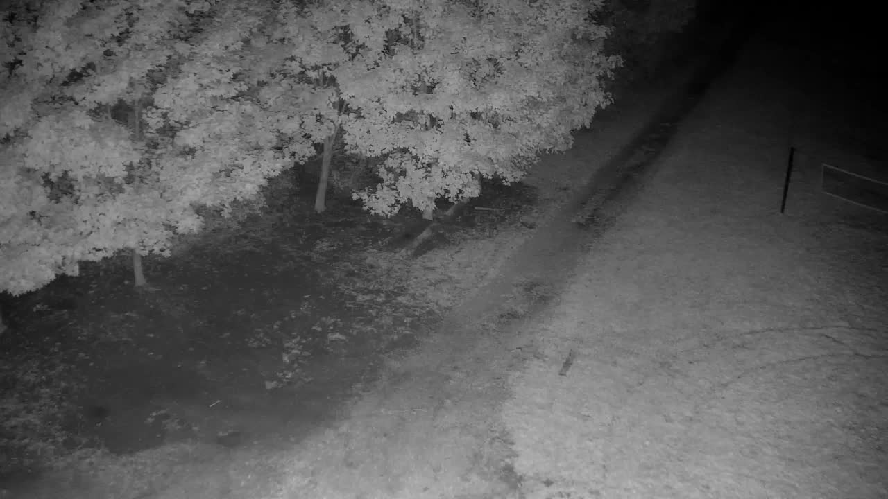 Webcam Ribnik Vrbje – Žalec