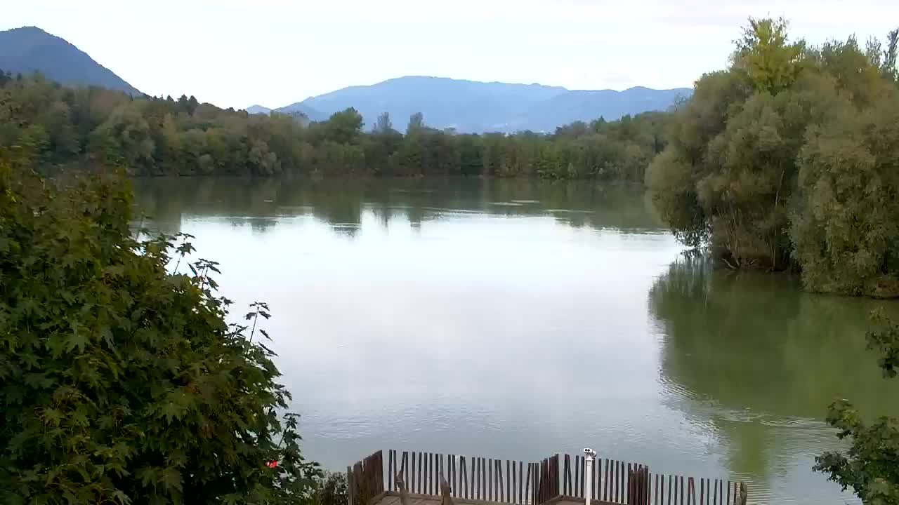 Webcam Ribnik Vrbje – Žalec