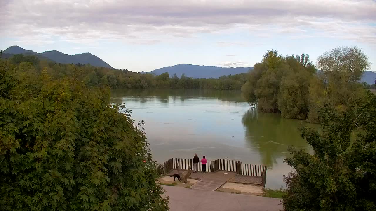 Webcam Ribnik Vrbje – Žalec