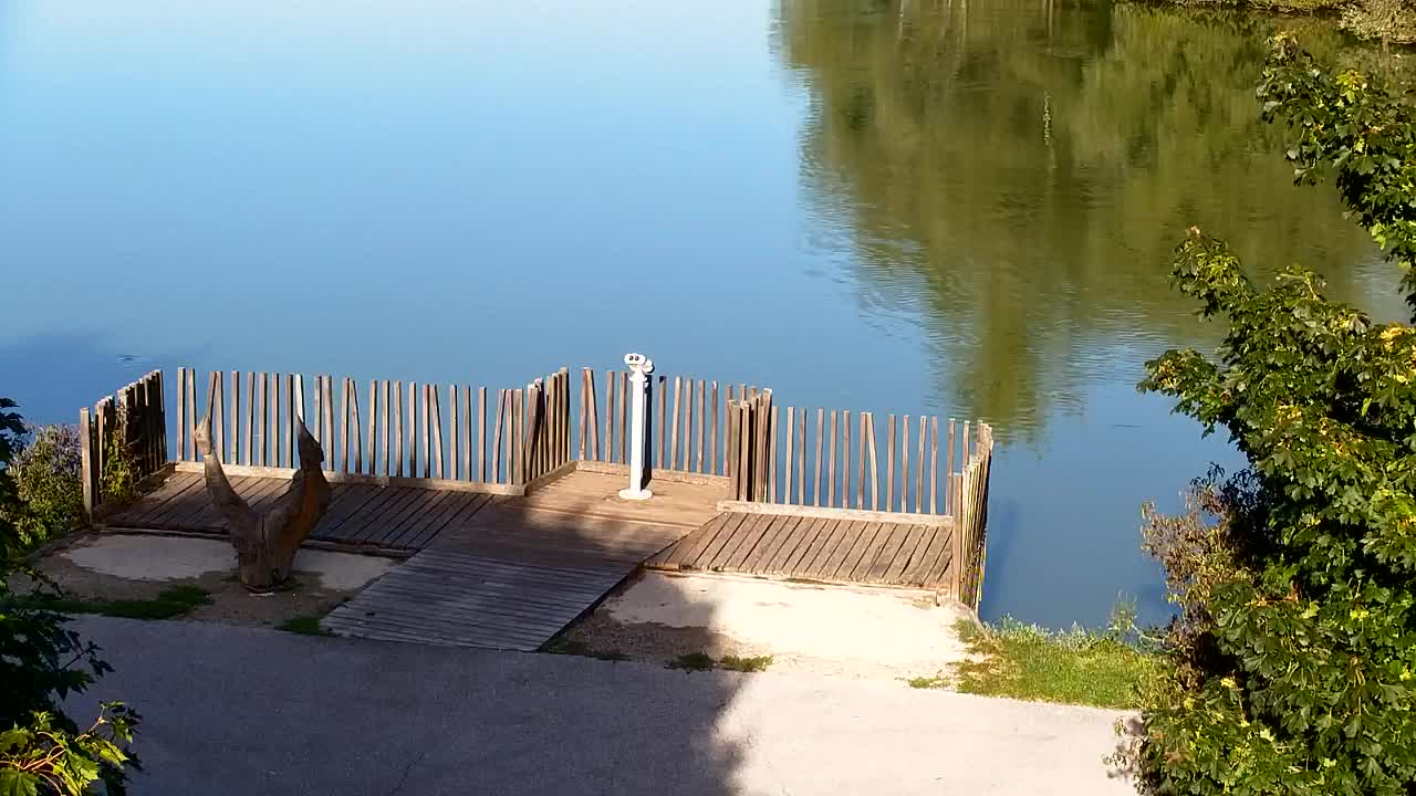 Webcam Ribnik Vrbje – Žalec