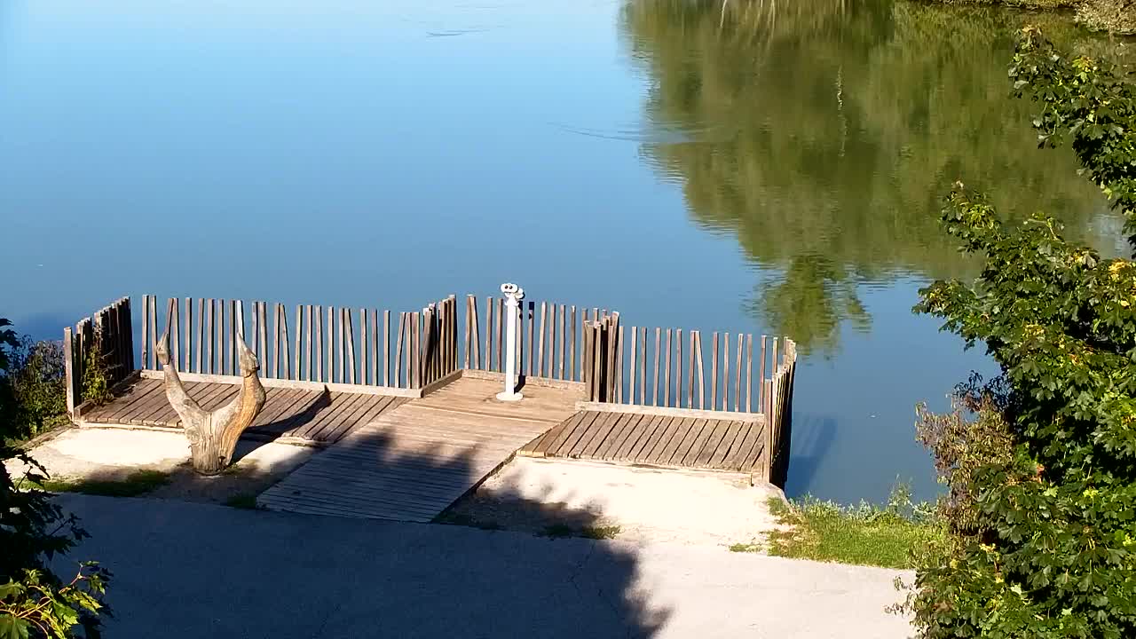 Webcam Ribnik Vrbje – Žalec