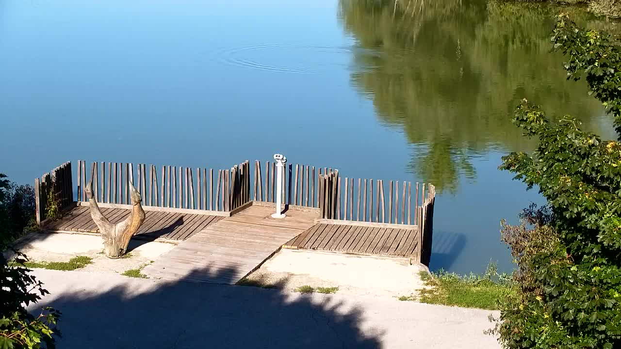 Webcam Ribnik Vrbje – Žalec