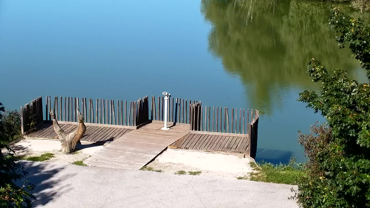 Spletna kamera Ribnik Vrbje – Žalec