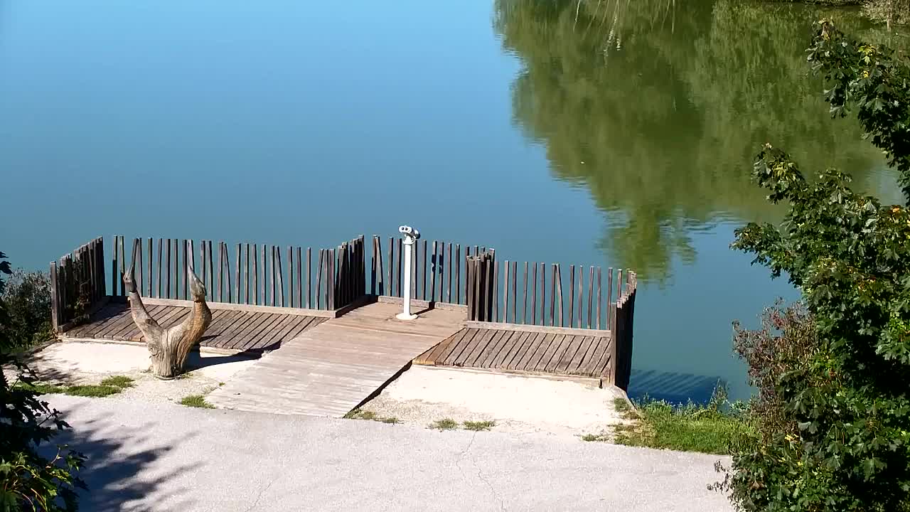 Webcam Ribnik Vrbje – Žalec