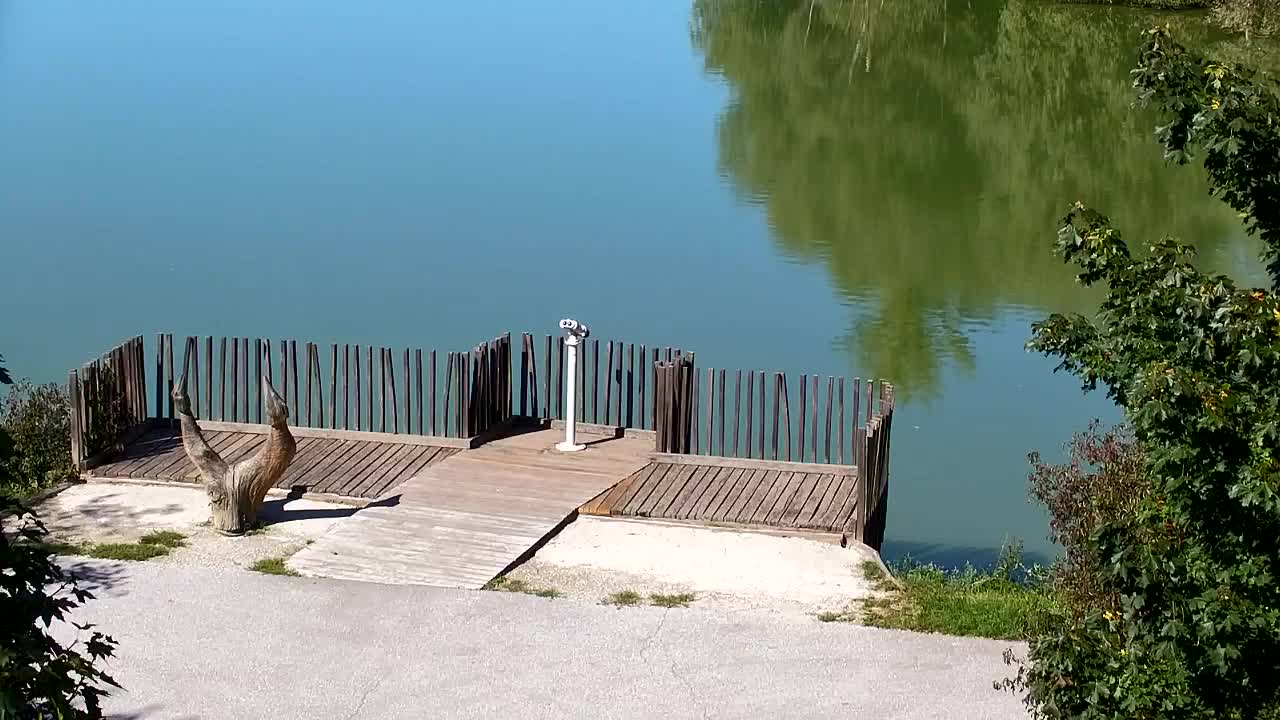 Webcam Ribnik Vrbje – Žalec