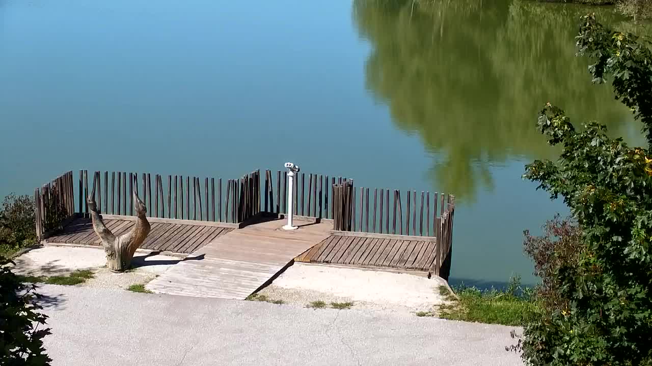 Webcam Ribnik Vrbje – Žalec