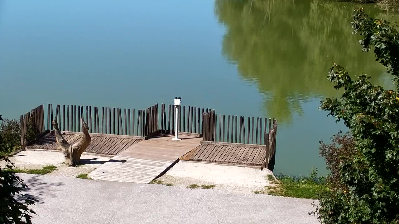 Webcam Ribnik Vrbje – Žalec