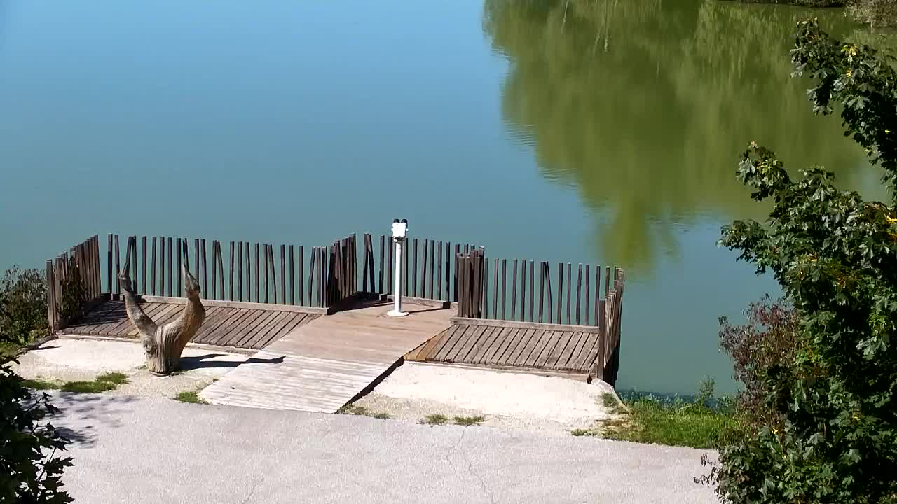 Spletna kamera Ribnik Vrbje – Žalec