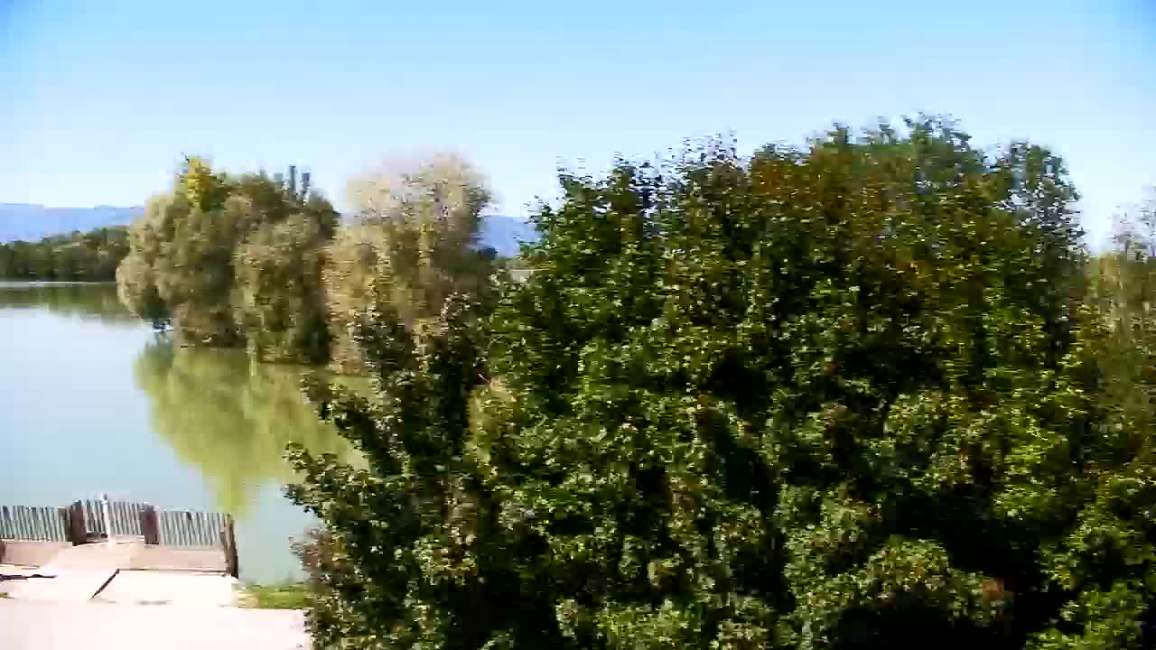 Spletna kamera Ribnik Vrbje – Žalec