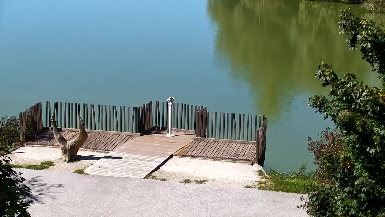 Webcam Ribnik Vrbje – Žalec