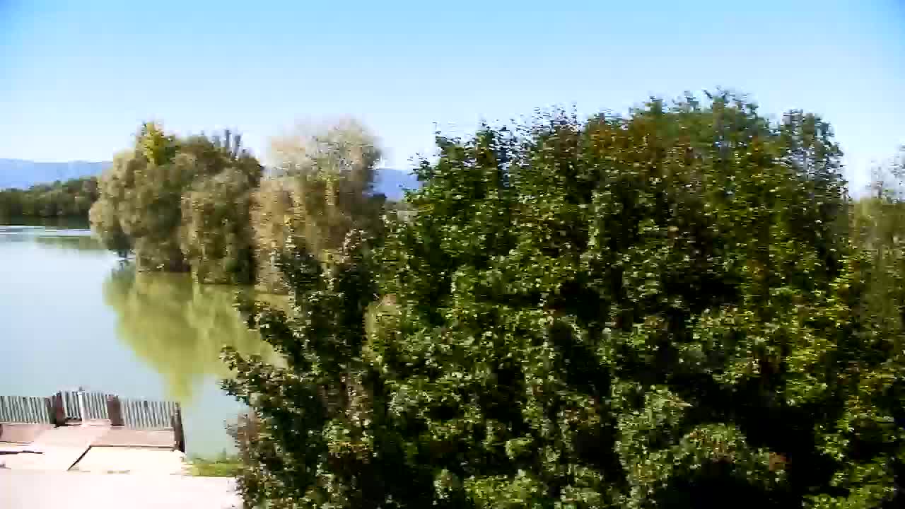 Webcam Ribnik Vrbje – Žalec
