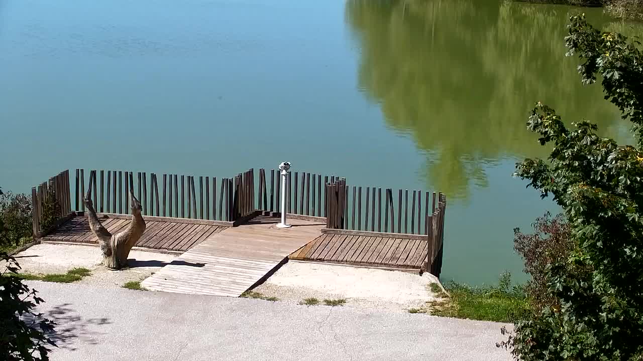 Webcam Ribnik Vrbje – Žalec