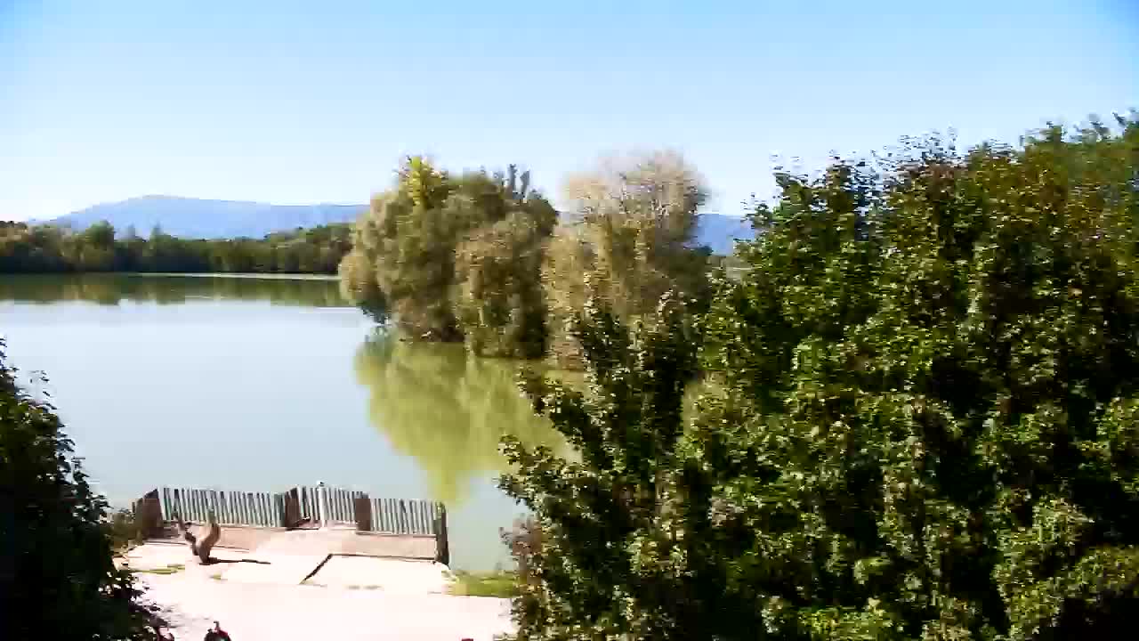 Webcam Ribnik Vrbje – Žalec