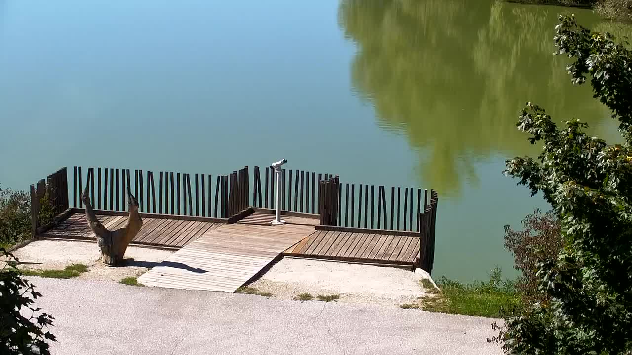 Webcam Ribnik Vrbje – Žalec