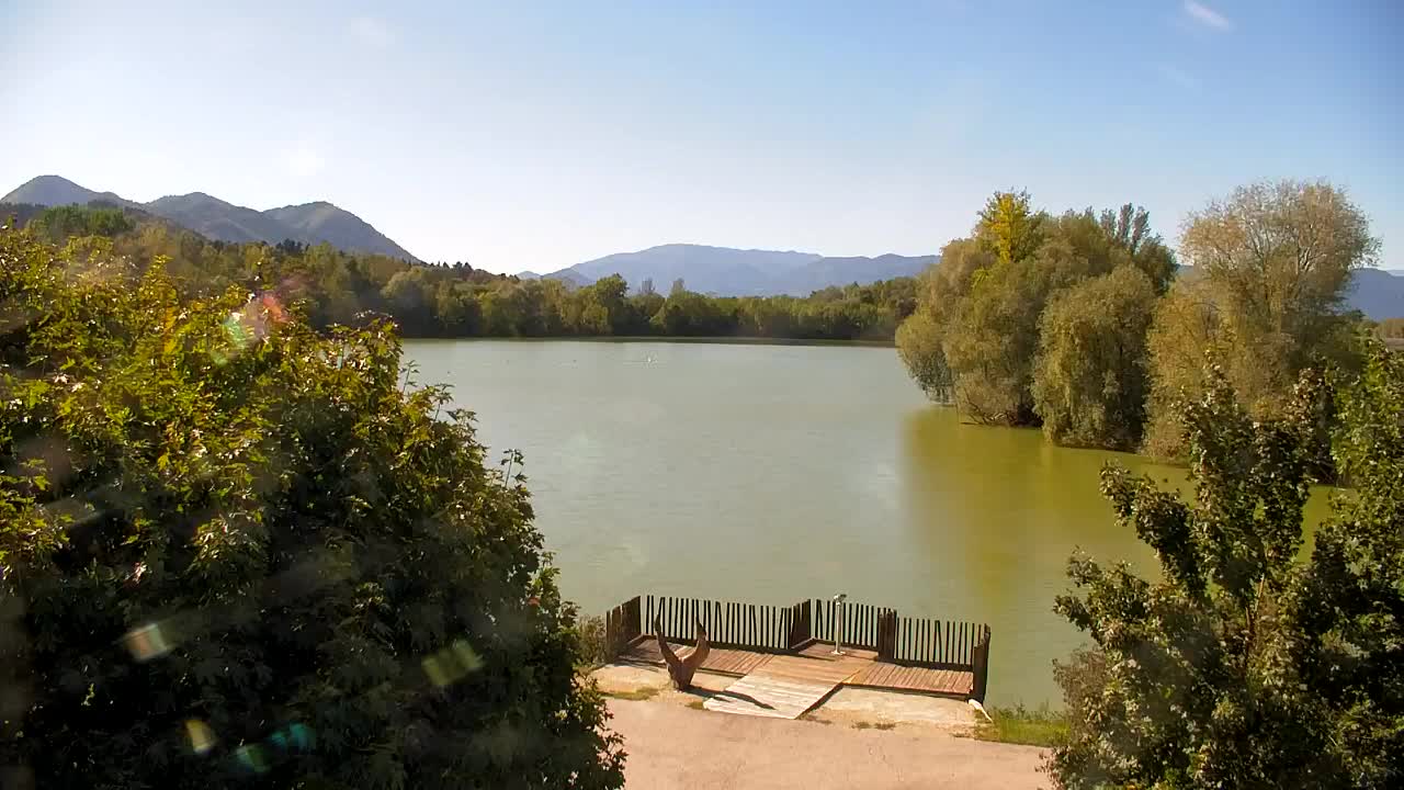Spletna kamera Ribnik Vrbje – Žalec