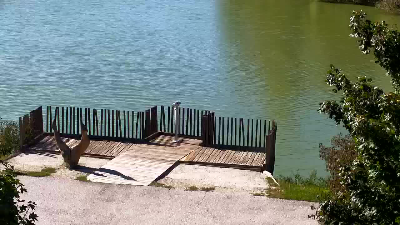 Webcam Ribnik Vrbje – Žalec