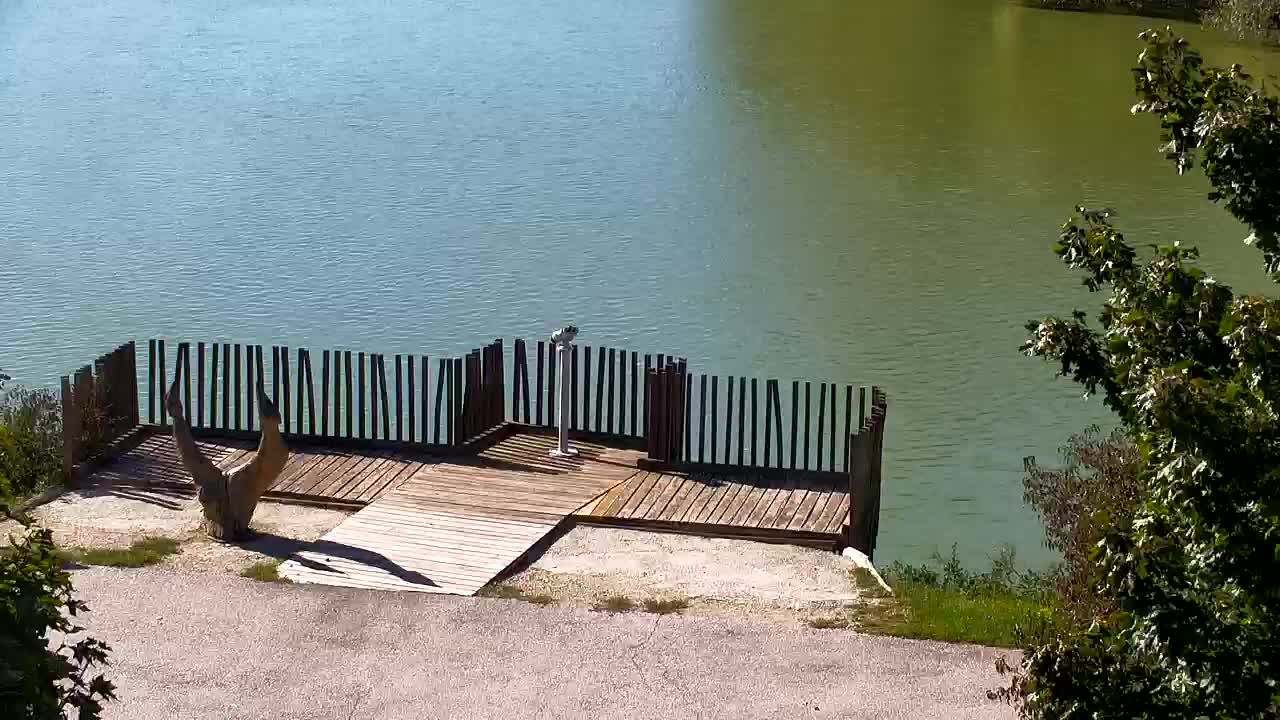 Web kamera Ribnik Vrbje – Žalec