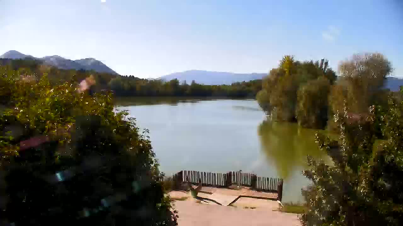 Web kamera Ribnik Vrbje – Žalec