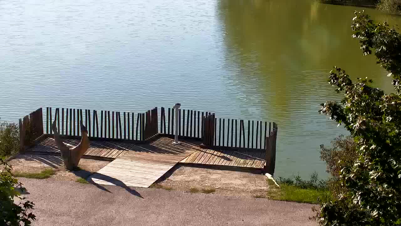 Spletna kamera Ribnik Vrbje – Žalec