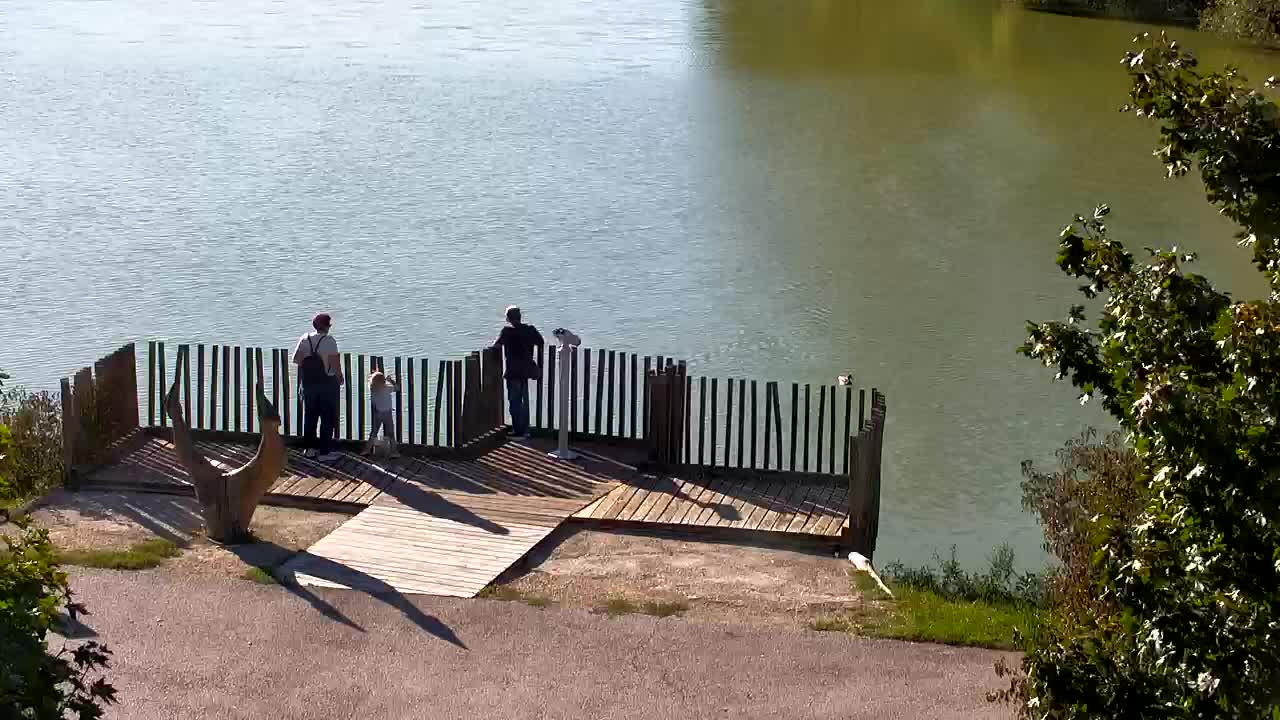 Webcam Ribnik Vrbje – Žalec