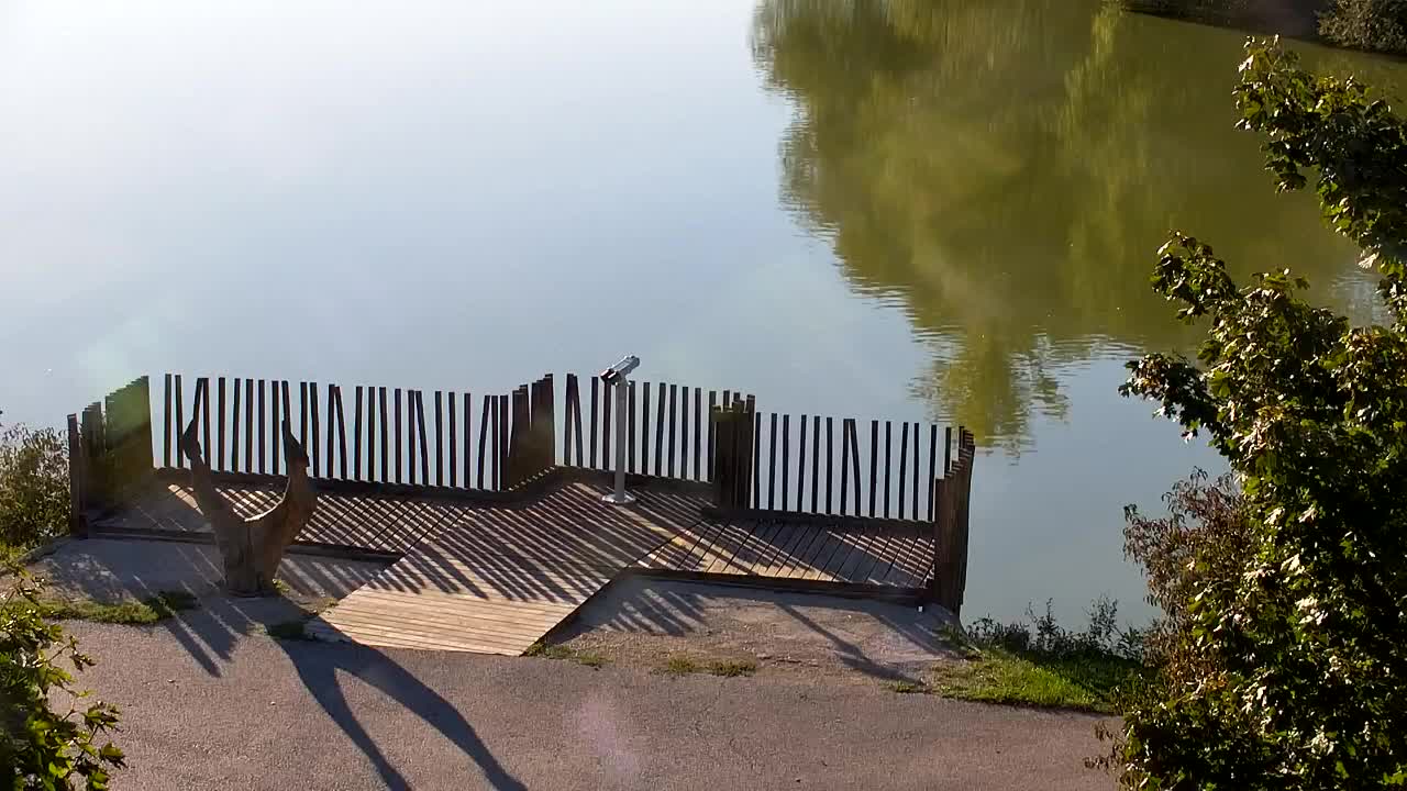 Webcam Ribnik Vrbje – Žalec