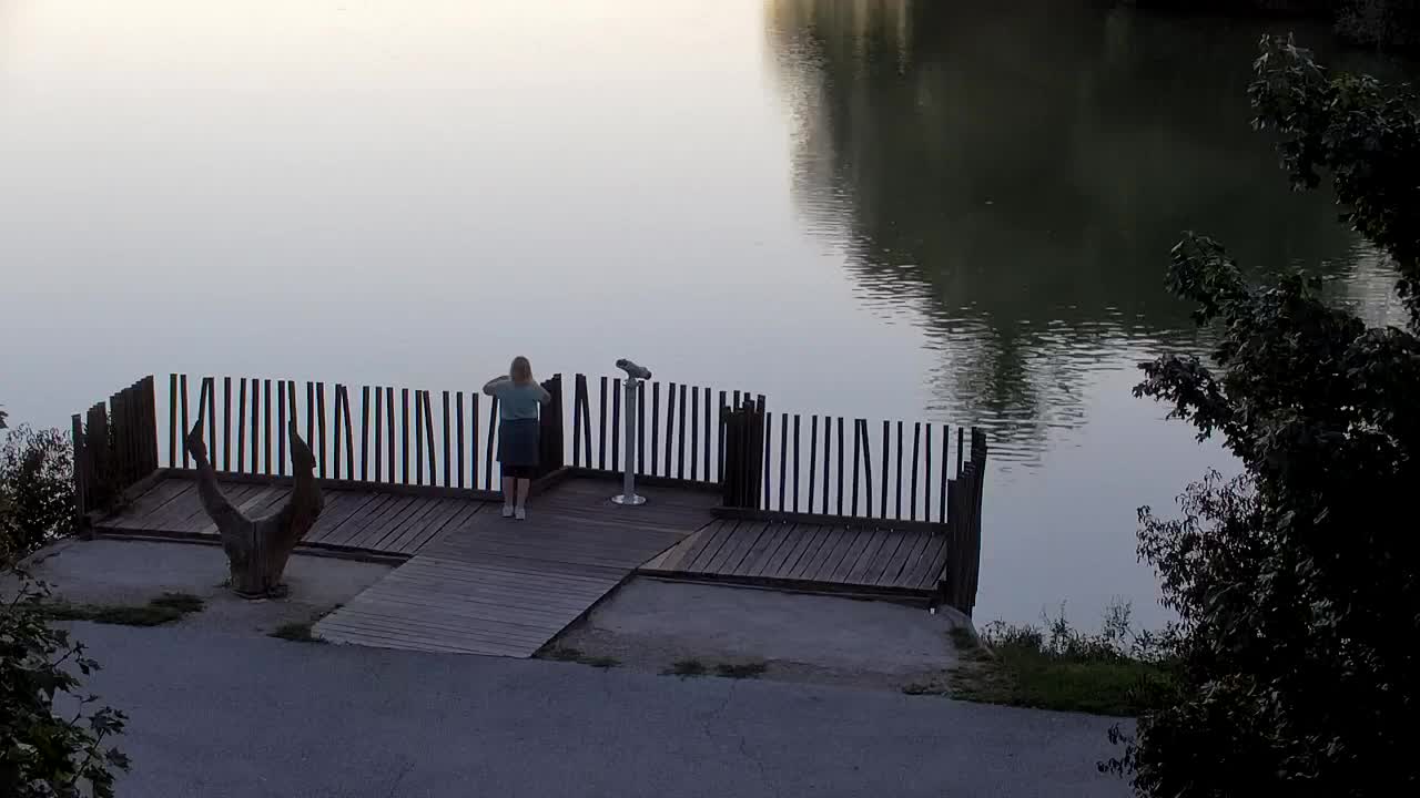 Spletna kamera Ribnik Vrbje – Žalec
