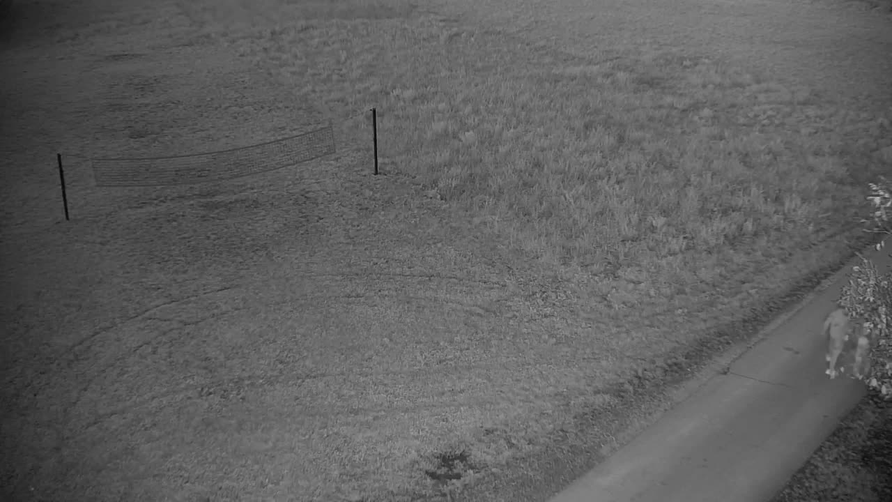 Webcam Ribnik Vrbje – Žalec