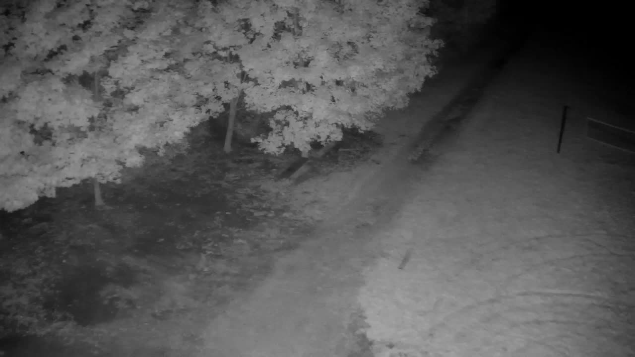 Webcam Ribnik Vrbje – Žalec