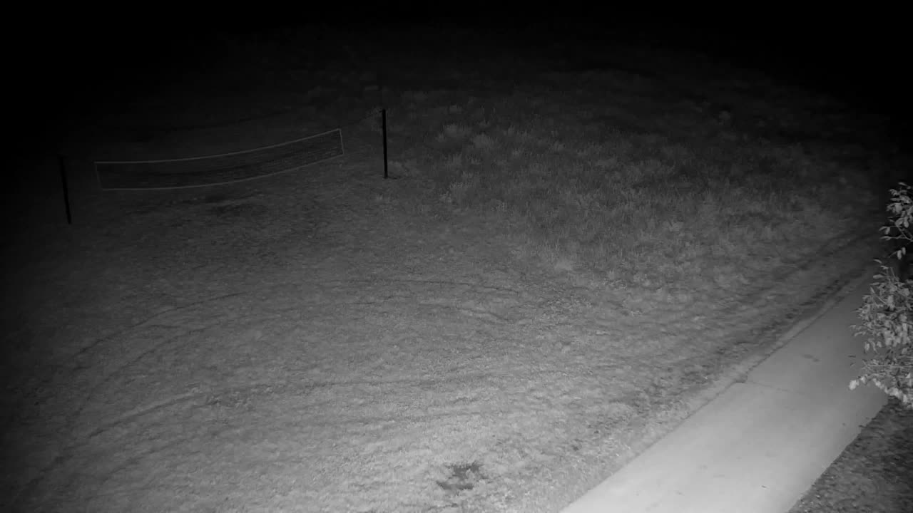 Webcam Ribnik Vrbje – Žalec
