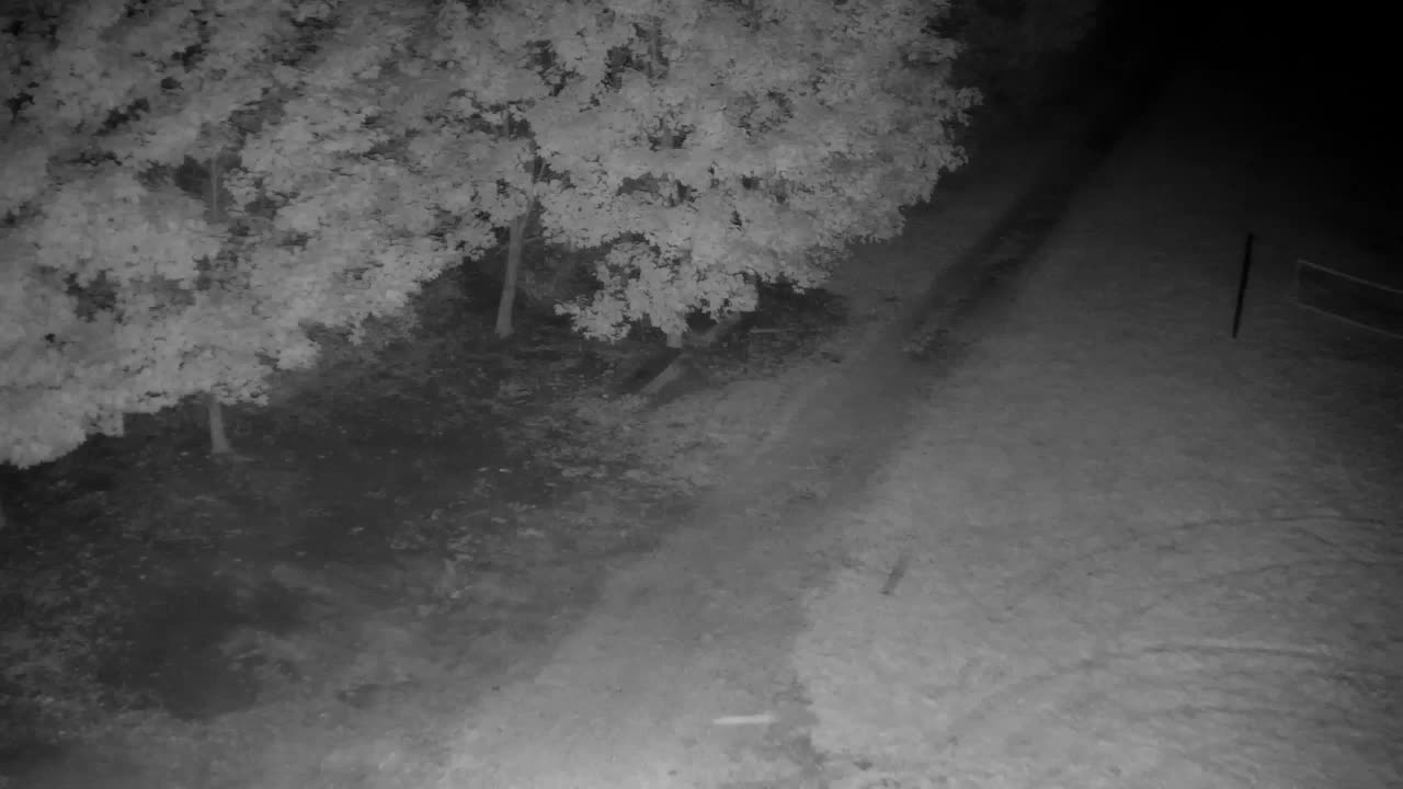 Webcam Ribnik Vrbje – Žalec