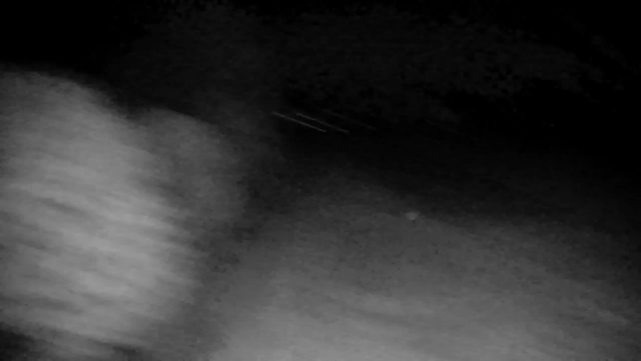Webcam Ribnik Vrbje – Žalec