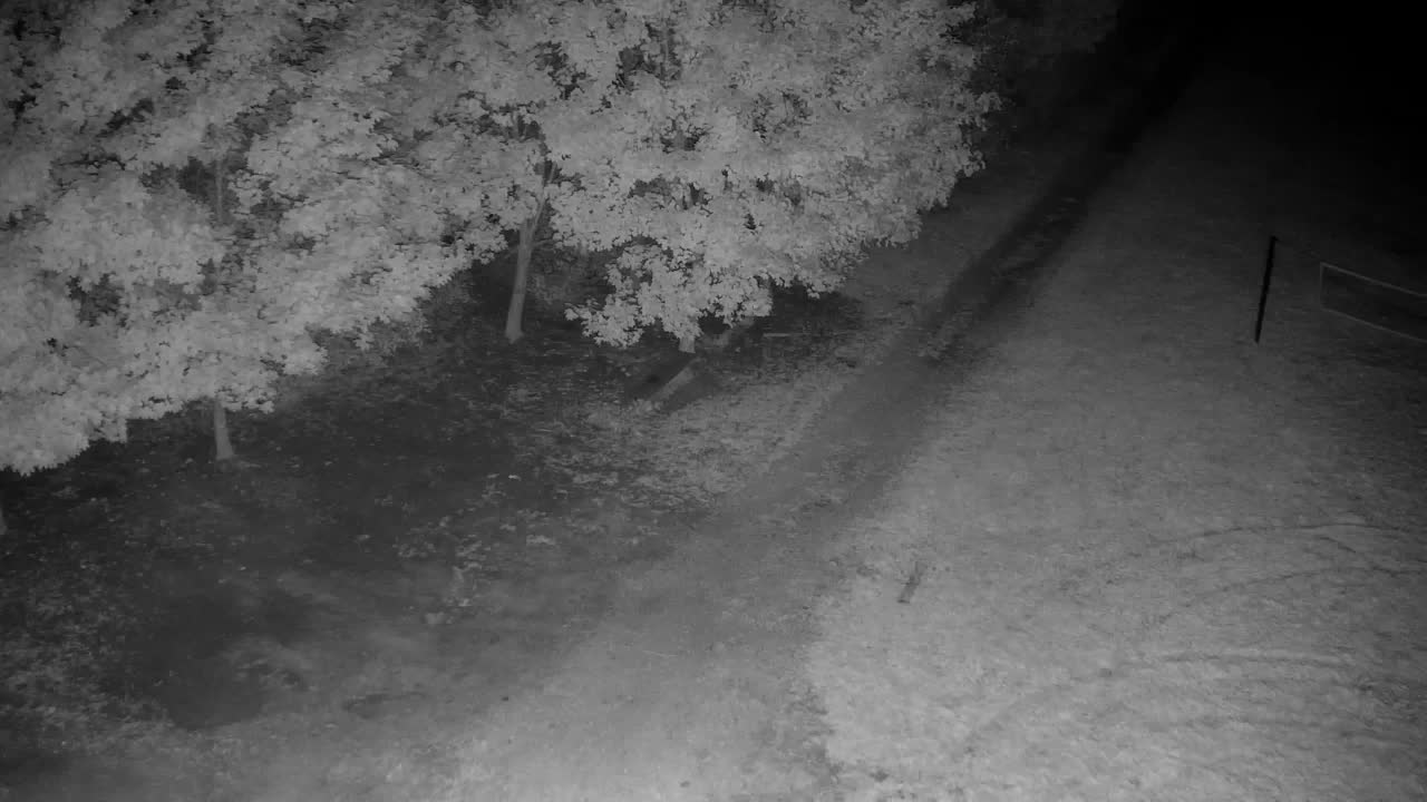 Webcam Ribnik Vrbje – Žalec