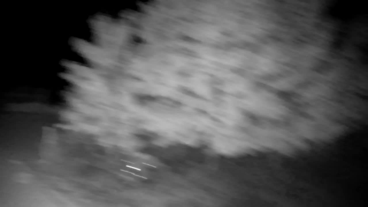 Webcam Ribnik Vrbje – Žalec