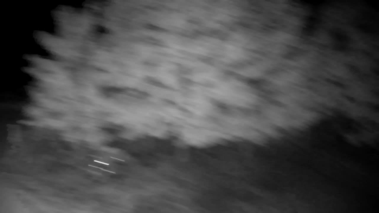 Webcam Ribnik Vrbje – Žalec