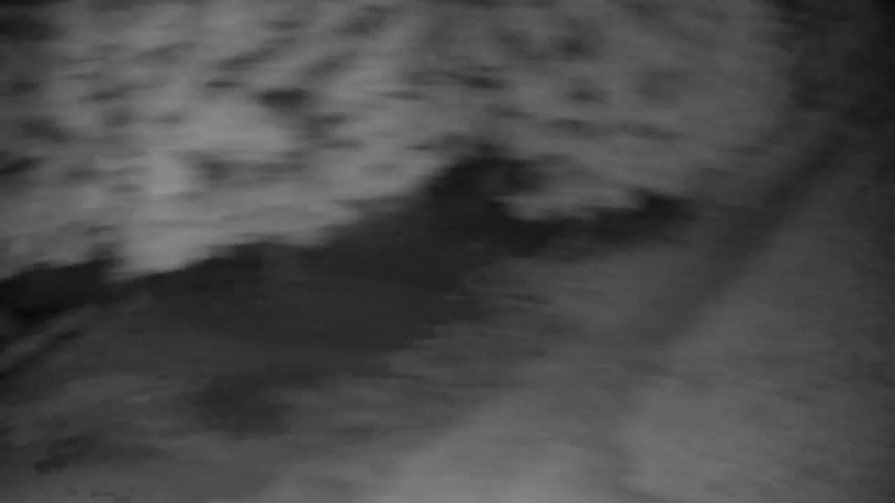 Webcam Ribnik Vrbje – Žalec